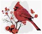 Malen nach Zahlen - Roter Vogel in den Rosen - Malen nach Zahlen