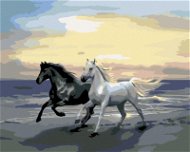 Painting by Numbers - Horses on the Beach - Painting by Numbers