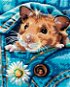 Painting by Numbers - Hamster with Daisy - Painting by Numbers