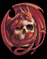 Maľovanie podľa čísel – Lebka s drakom - Maľovanie podľa čísel