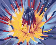 Painting by Numbers - Opening Flower - Painting by Numbers