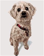 Painting by Numbers - Maltese Dog - Painting by Numbers