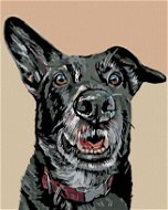 Maľovanie podľa čísel – Čierny pes a nastražené ucho - Maľovanie podľa čísel