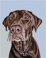 Malen nach Zahlen - Brauner Hund mit braunem Halsband - Malen nach Zahlen