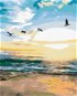 Painting by Numbers - Seagulls over Sand - Painting by Numbers