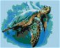 Malen nach Zahlen - Riesenschildkröte - Malen nach Zahlen
