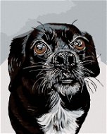 Malen nach Zahlen - Hund in Schwarzweiß - Malen nach Zahlen