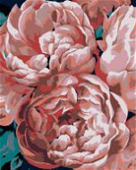 Painting by Numbers - Peonies in Light - Painting by Numbers