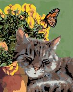 Malen nach Zahlen - Ruhende Katze und Schmetterling an Blumen - Malen nach Zahlen