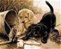 Painting by Numbers - Puppies with Fish - Painting by Numbers