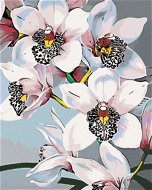 Maľovanie podľa čísel – Nádherné orchidey - Maľovanie podľa čísel