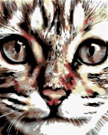 Painting by Numbers - Tabby Kitten - Painting by Numbers