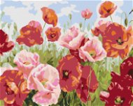 Painting by Numbers - Poppies in many Shades - Painting by Numbers