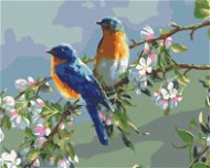 Maľovanie podľa čísel – Vtáčiky - Maľovanie podľa čísel