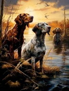 Norimpex Psi v mokřadech 40 × 50 cm - Painting by Numbers
