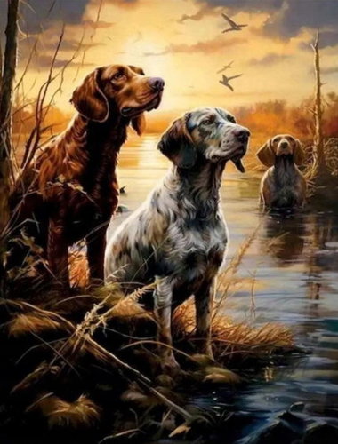 Norimpex Psi v mokřadech 40 × 50 cm - Painting by Numbers - Main image