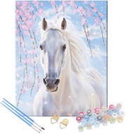 Alum Painting by numbers 30 × 40 cm - Horse - Painting by Numbers