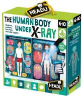 Ľudské telo pod röntgenom - Puzzle