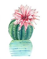 Gaira Kaktus D9012 - Diamantové maľovanie