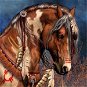 Gaira Kôň D0394 - Diamantové maľovanie
