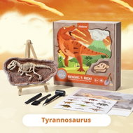 Mideer Vykopávání dinosaurů - Tyranosaurus - Creative Toy