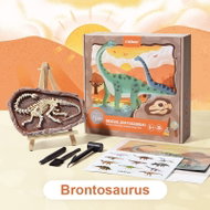 Mideer Vykopávání dinosaurů - Brontosaurus - Creative Toy