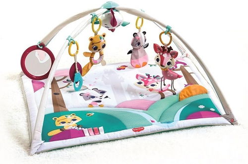 Hrací deka s hrazdou Gymini Tiny Princess Tales - Hrací deka - Hlavní obrázek