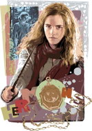 Zuty - Painting by Numbers - Card Hermione Granger (Harry Potter), 40X50 Cm, Canvas+Frame - Painting by Numbers