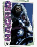 Zuty - Painting by Numbers - Card Hagrid (Harry Potter), 40X50 Cm, Canvas+Frame - Painting by Numbers