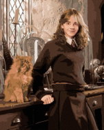 Zuty - Painting by Numbers - Hermione With Curly Leg In The Classroom (Harry Potter), 40X50 Cm, Canv - Painting by Numbers