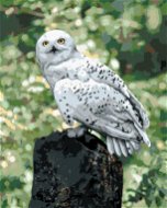 Zuty - Painting by Numbers - Hedwig on the Tree (Harry Potter), 40X50 Cm, Canvas - Painting by Numbers