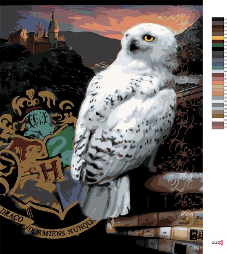 Harry Potter Hedwig Owl - Paint By Numbers - Painting By Numbers