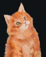 Zuty - Painting By Numbers - Ginger Cat On Dark Background (Myroslava Voloschuk), 40X50 Cm, Canvas - Painting by Numbers