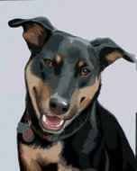 Zuty - Painting by Numbers - Rottweiler 2 (Myroslava Voloschuk), 40X50 Cm, Canvas+Frame - Painting by Numbers