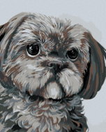 Zuty - Painting by Numbers - Dog (Myroslava Voloschuk), 40X50 Cm, Canvas - Painting by Numbers