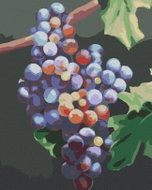 Zuty - Painting by Numbers - Blue Grapes (Myroslava Voloschuk), 80X100 Cm, Canvas+Frame - Painting by Numbers