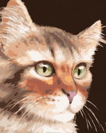 Zuty - Painting by Numbers - Cat (Myroslava Voloschuk), 40X50 Cm, Canvas - Painting by Numbers