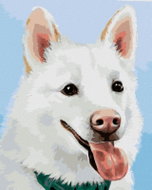 Zuty - Painting by Numbers - White Swiss Shepherd (Myroslava Voloschuk), 80X100 Cm, Canvas - Painting by Numbers