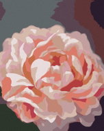 Zuty - Painting by Numbers - Peonies 6 (Myroslava Voloschuk), 40X50 Cm, Canvas - Painting by Numbers