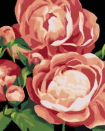 Zuty - Painting by Numbers - Peonies 3 (Myroslava Voloschuk), 40X50 Cm, Canvas+Frame - Painting by Numbers