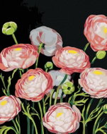 Zuty - Painting by Numbers - Peonies (Myroslava Voloschuk), 40X50 Cm, Canvas - Painting by Numbers