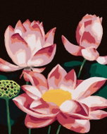 Zuty - Painting by Numbers - Pink Water Lilies (Myroslava Voloschuk), 40X50 Cm, Canvas+Frame - Painting by Numbers