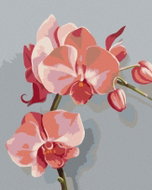 Zuty - Painting by Numbers - Pink Orchids (Myroslava Voloschuk), 80X100 Cm, Canvas - Painting by Numbers