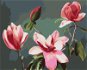 Zuty - Painting by Numbers - Pink Magnolia (Myroslava Voloschuk), 80X100 Cm, Canvas+Frame - Painting by Numbers