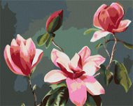 Zuty - Painting by Numbers - Pink Magnolias (Myroslava Voloschuk), 40X50 Cm, Canvas - Painting by Numbers