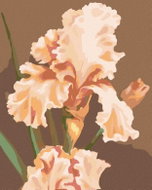Zuty - Painting by Numbers - Pink Iris (Myroslava Voloschuk), 80X100 Cm, Canvas - Painting by Numbers