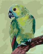 Zuty - Painting by Numbers - Parrot (Myroslava Voloschuk), 80X100 Cm, Canvas+Frame - Painting by Numbers