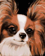 Zuty - Painting by Numbers - Papillon (Myroslava Voloschuk), 40X50 Cm, Canvas+Frame - Painting by Numbers