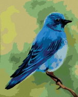 Zuty - Painting by Numbers - Blue Bird 2 (Myroslava Voloschuk), 40X50 Cm, Canvas+Frame - Painting by Numbers