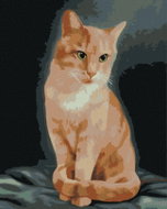 Zuty - Painting by Numbers - Ginger Cat (Myroslava Voloschuk), 80X100 Cm, Canvas+Frame - Painting by Numbers